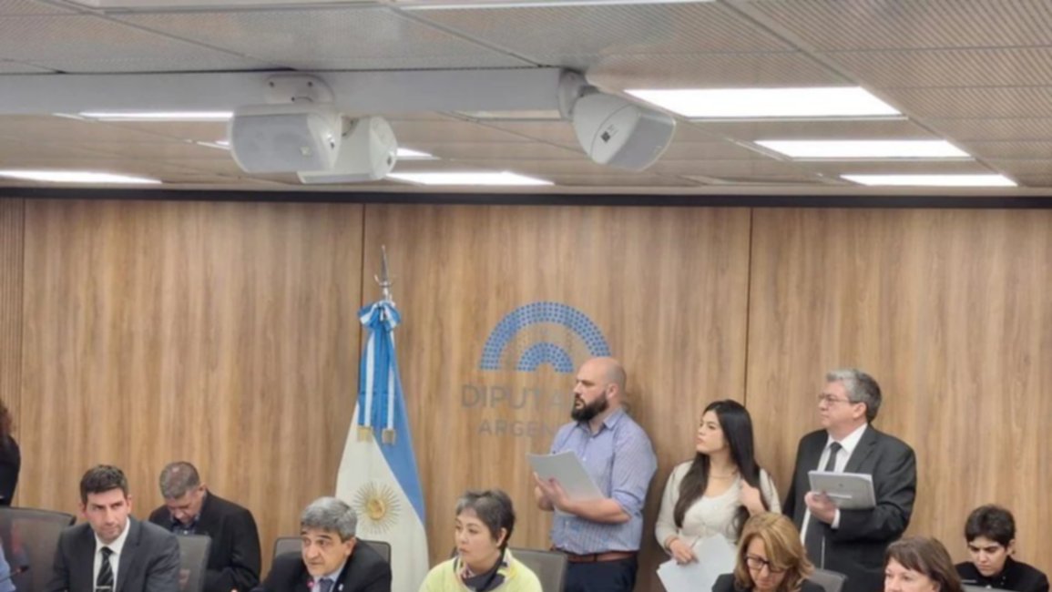 Por segunda semana consecutiva, Pettovello no concurrió a exponer en Diputados
