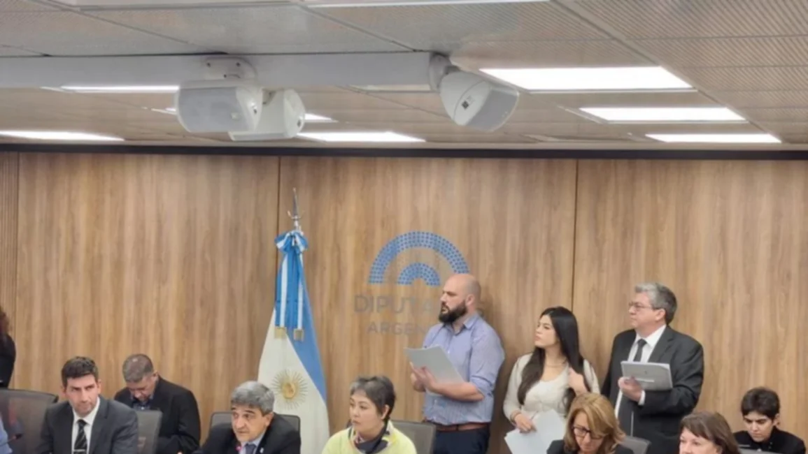 Por segunda semana consecutiva, Pettovello no concurrió a exponer en Diputados