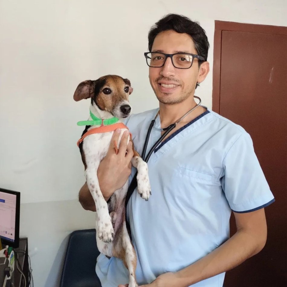 Tener un "amigo fiel" para siempre: hay más de 40 perritos que esperan cambiar vidas en el Centro de Adopciones Mancilla