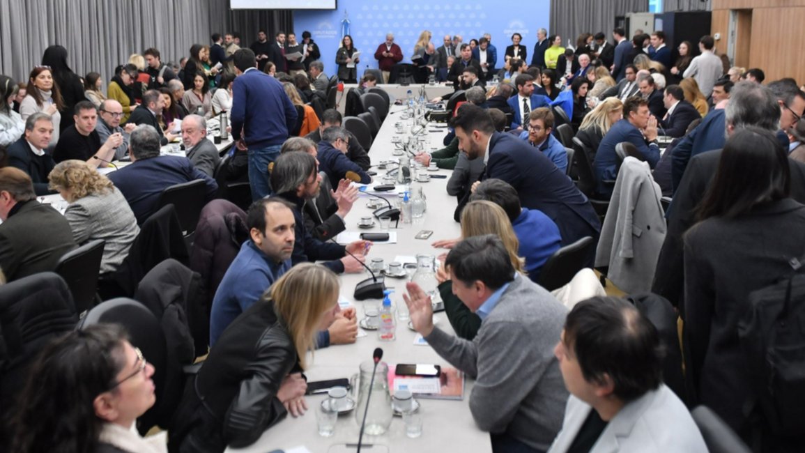 Dictamen para la ley Bases y el paquete fiscal pero con dudas