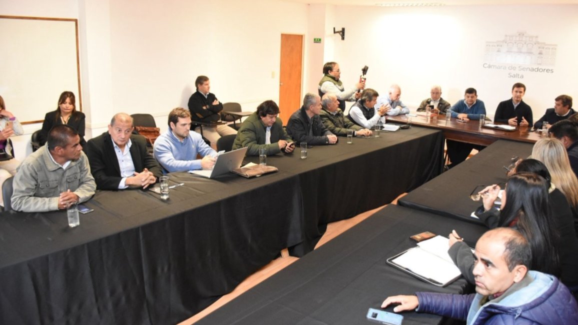 El Senado busca regular el transporte por apps en toda la provincia y evitar la "zona gris" fuera de capital