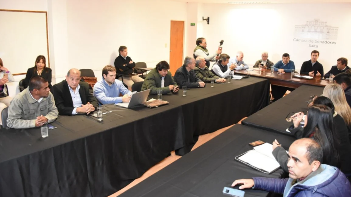 El Senado busca regular el transporte por apps en toda la provincia y evitar la "zona gris" fuera de capital