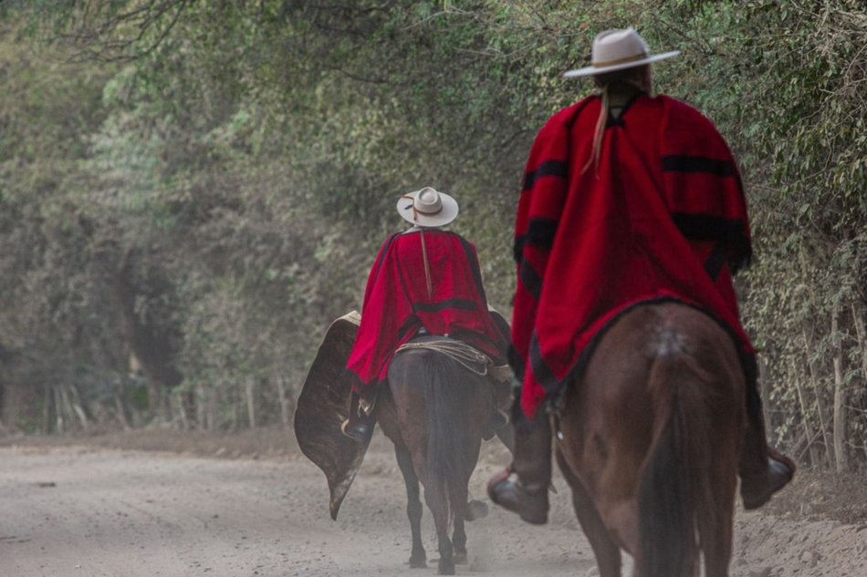 Homenajes de Güemes: este sábado los gauchos salteños hacen su tradicional cabalgata a La Horqueta