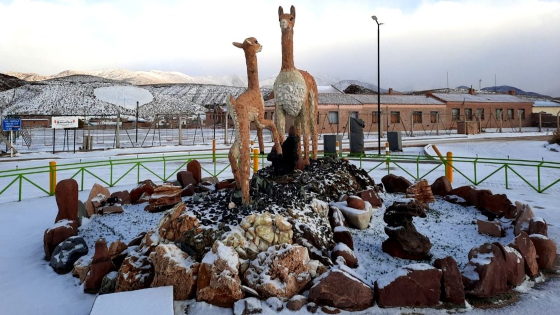 Una imagen fría y maravillosa: la Puna salteña amaneció bajo cero y cubierta de nieve