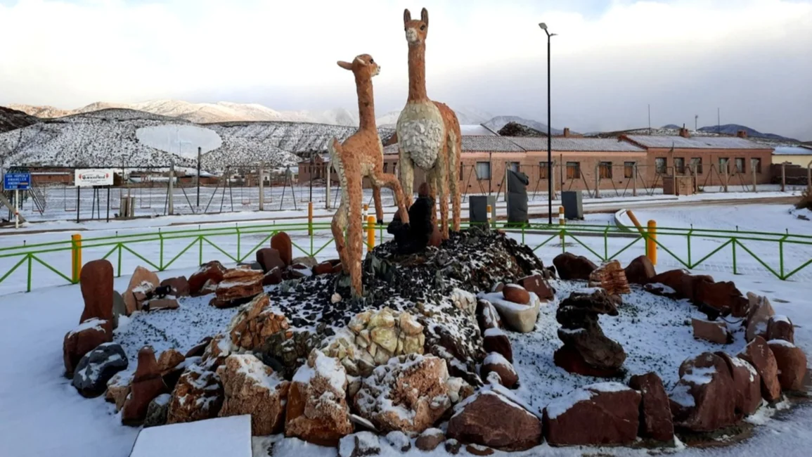 Una imagen fría y maravillosa: la Puna salteña amaneció bajo cero y cubierta de nieve