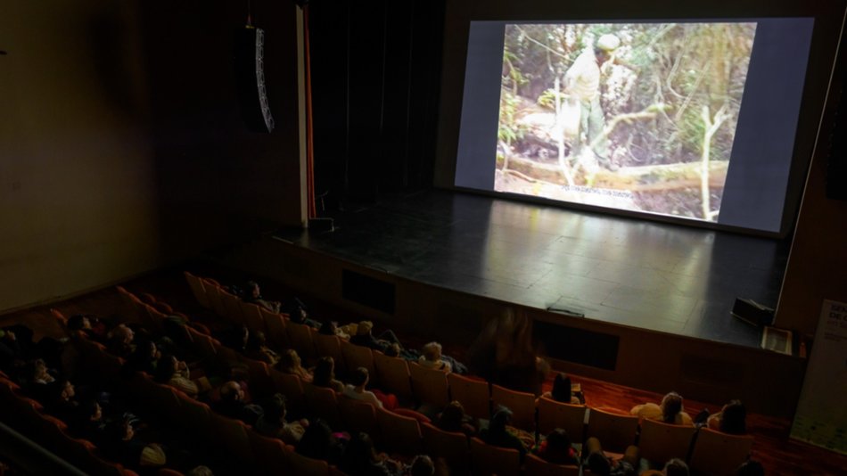 La Semana de Cine en Salta crece año a año y se hace más propia