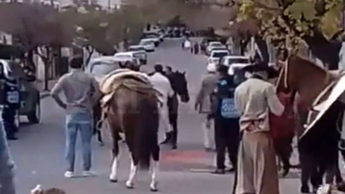Murió el caballo que se descompensó durante el desfile en honor al General Martín Miguel de Güemes