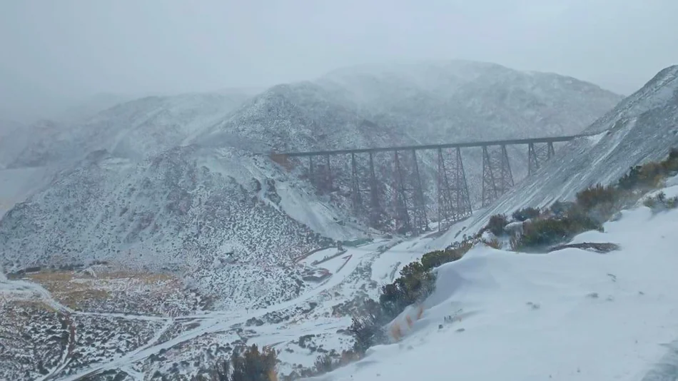 Nevada en Salta | Últimas noticias El Tribuno