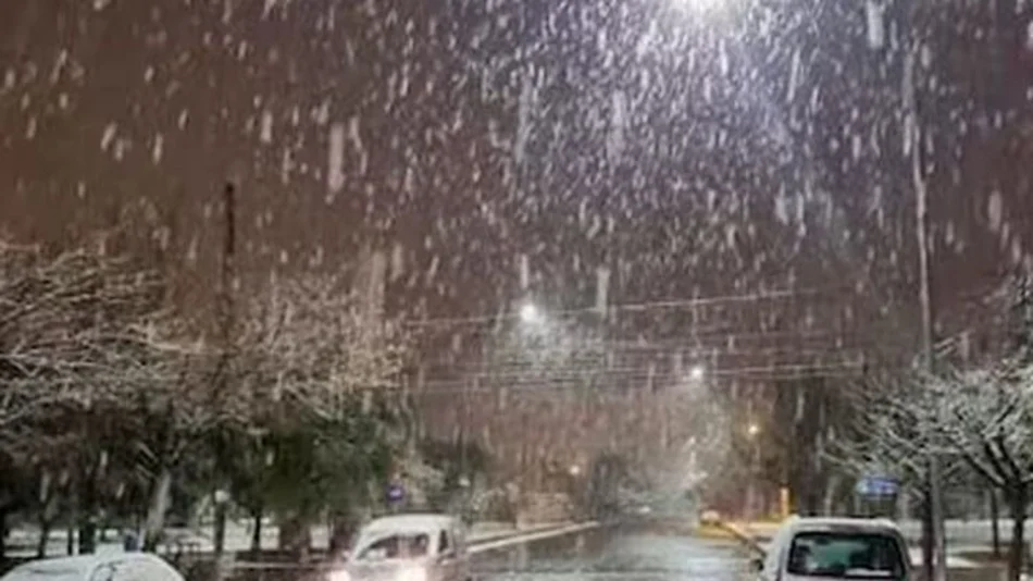 VIDEO. Una intensa nevada sorprendió esta madrugada a Rosario de la Frontera