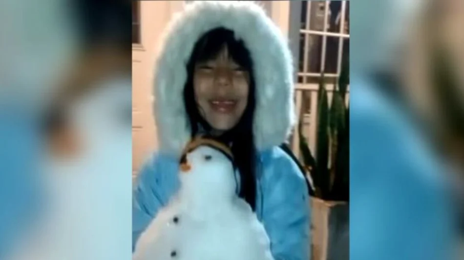 VIDEO. Una escena simple y genuina: una nena metanense disfruta de su primera experiencia con la nieve
