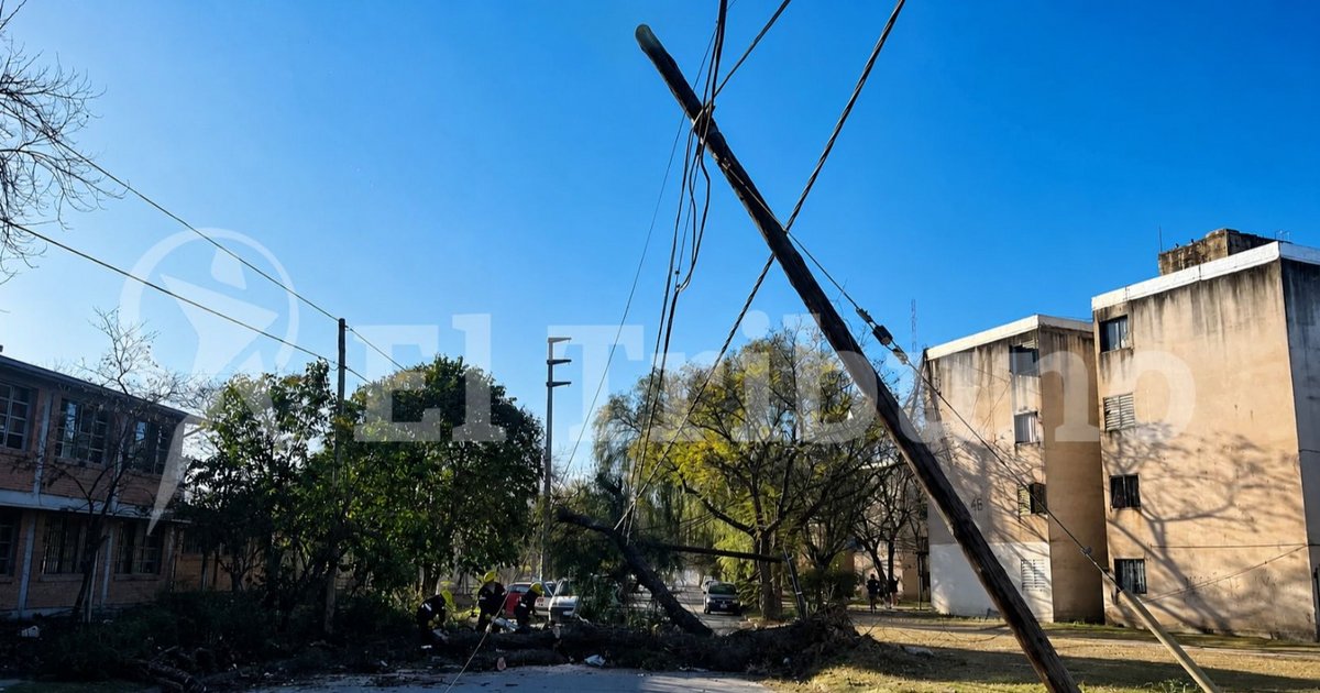 Rige alerta amarilla por fuertes vientos y Zonda en distintas zonas de Salta