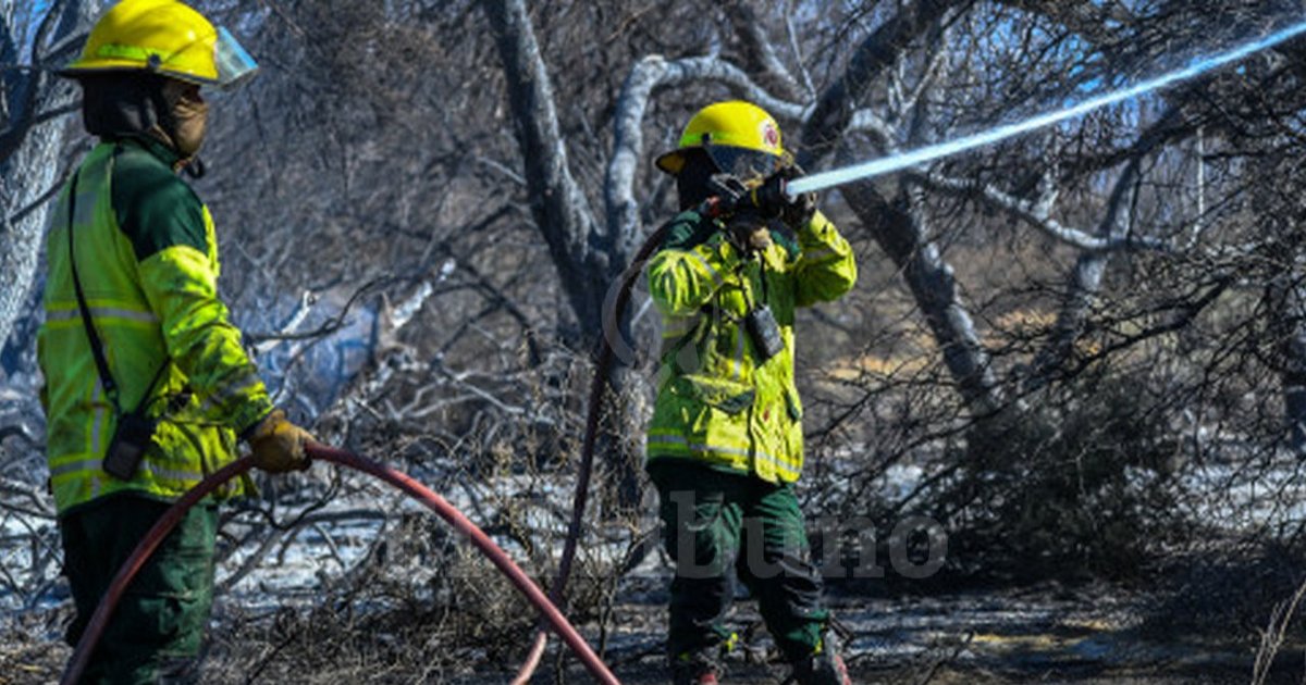 El fuego arrasó 200 hectáreas y abren una investigación judicial en Cafayate