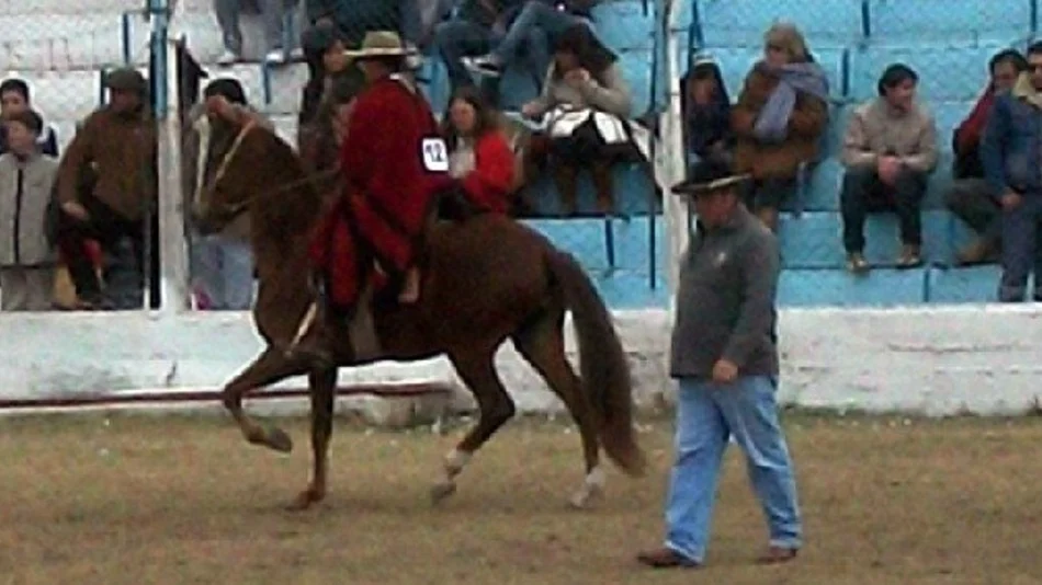 Exhiben los mejores caballos peruanos