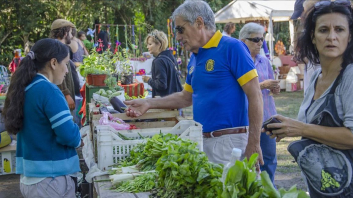 Productos orgánicos, al alcance de la mano