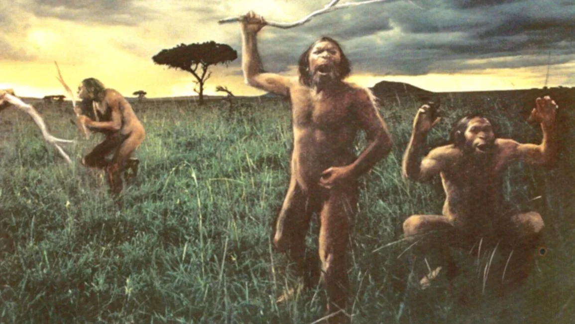 Los humanos modernos somos el resultado de 4 especies homínidas