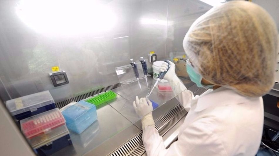 Por primera vez en EEUU modifican genes defectuosos de embriones humanos