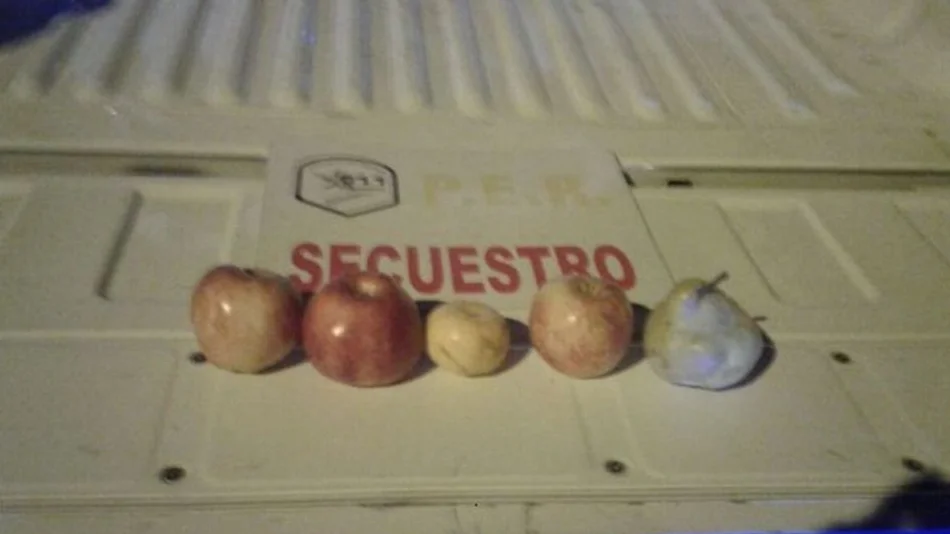 Dos chicos fueron detenidos por el robo de tres manzanas, una mandarina y una pera