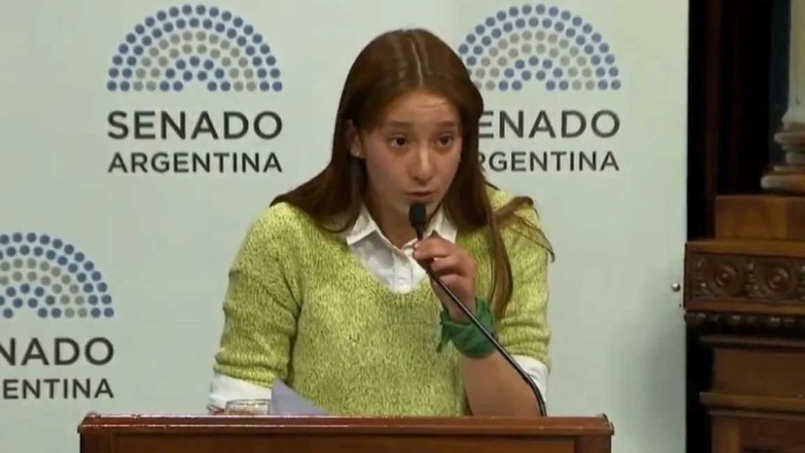 Una estudiante salteña de 16 años expuso en el Senado a favor del aborto legal