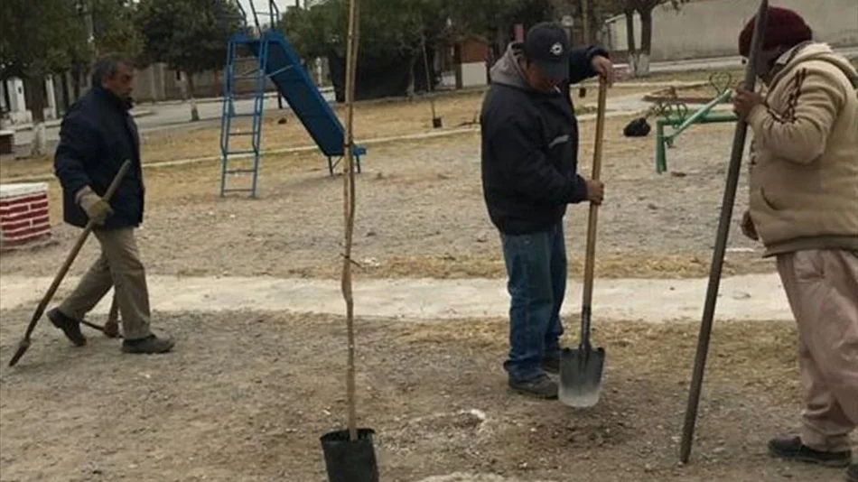 Renuevan el  listado de  árboles que se  deben plantar 