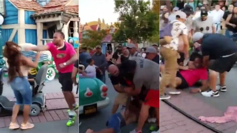 VIDEO Brutal e impresionante batalla campal de una familia en pleno Disneyland