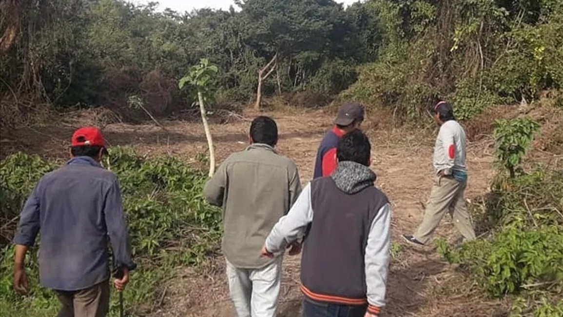 Intervino Ambiente  ante denuncias de  desmontes en Orán