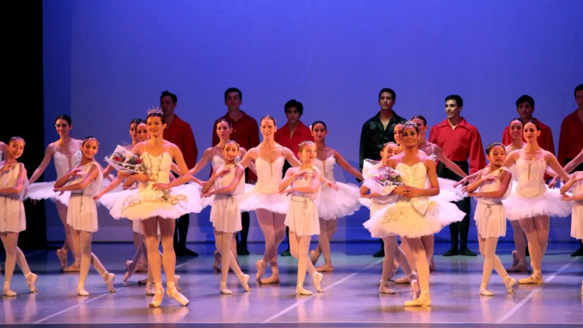 Clases virtuales gratuitas del Ballet de la Provincia