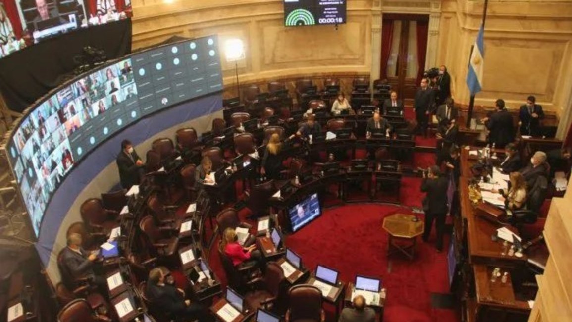 El Senado aprobó por unanimidad el alivio fiscal a monotributistas 
