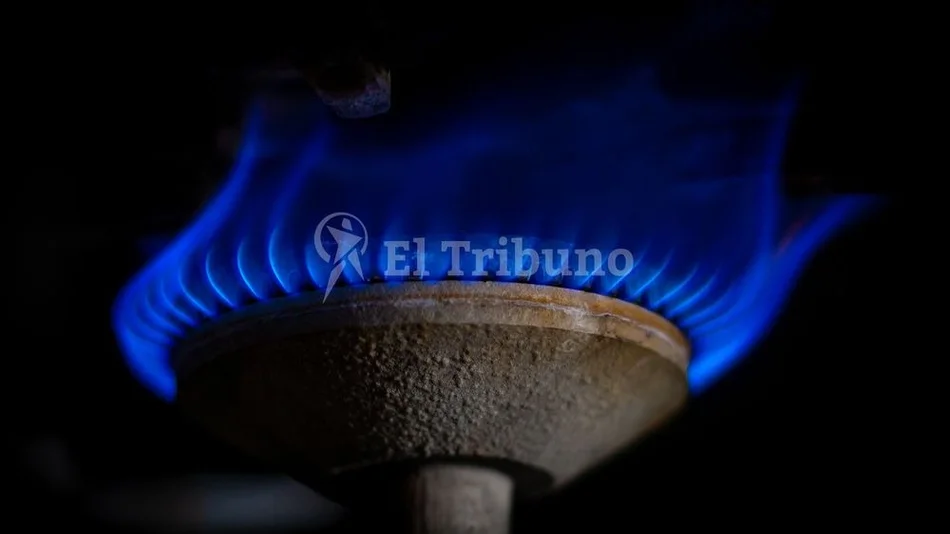 El 50% de los usuarios salteños estará  en la categoría más subsidiada