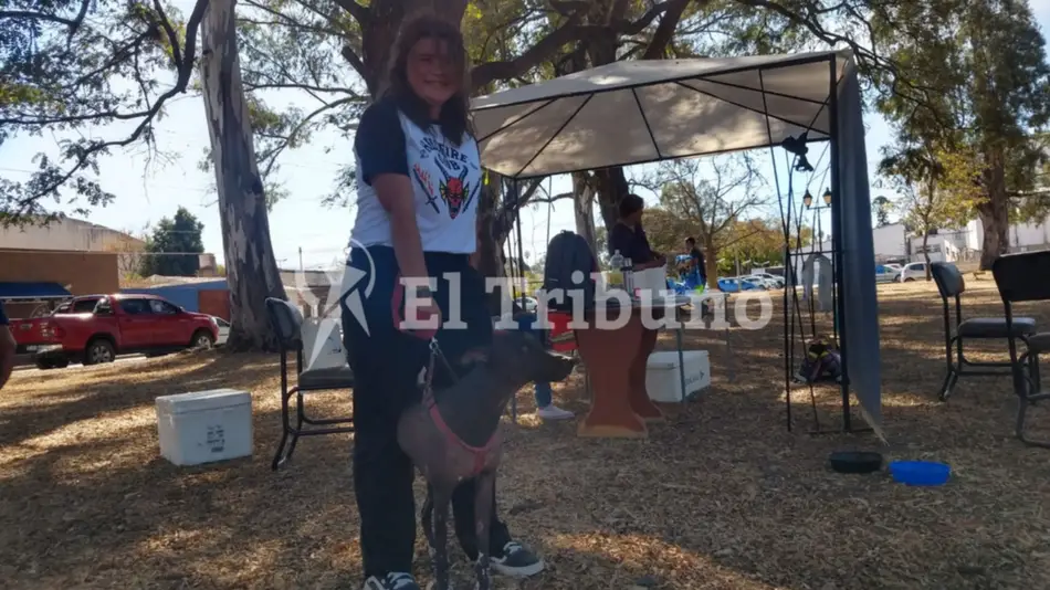 VIDEO: Amigos del perro pila se reunieron en el monumento 20 de Febrero