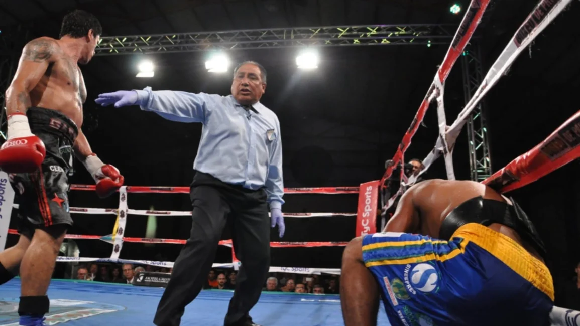 Jornadas para árbitros y jurados de boxeo