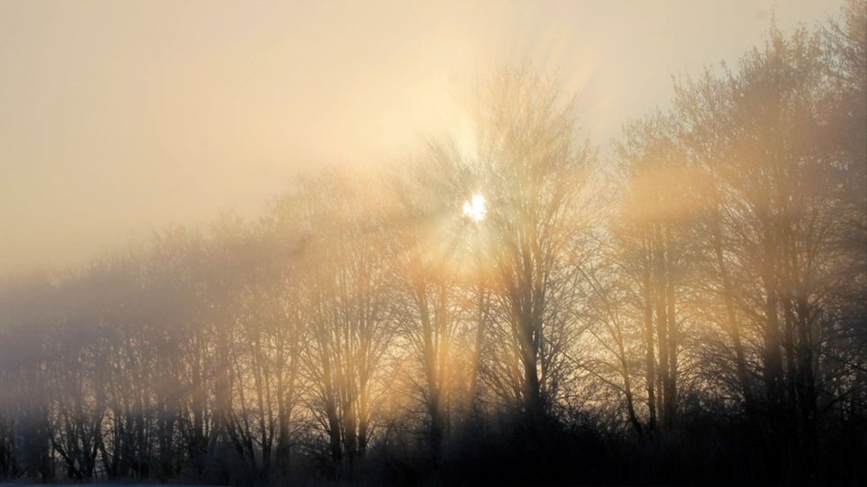 El Día del Amigo arrancó con - 2º C en la ciudad de Salta y alrededores 
