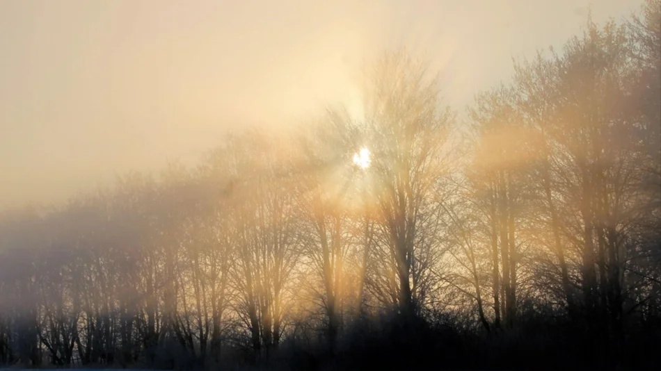 El Día del Amigo arrancó con - 2º C en la ciudad de Salta y alrededores 