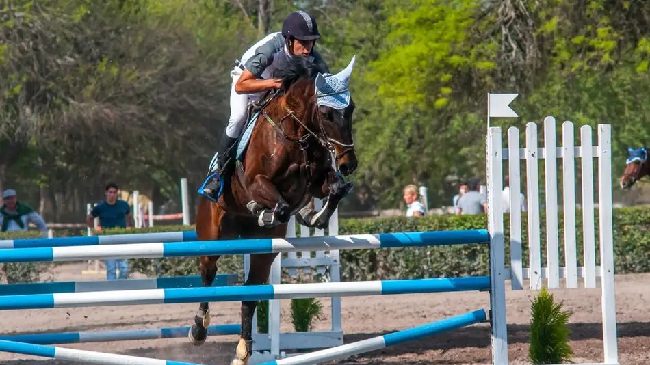 Fin de semana con una gran cita de saltos hípicos en el Torneo Independencia