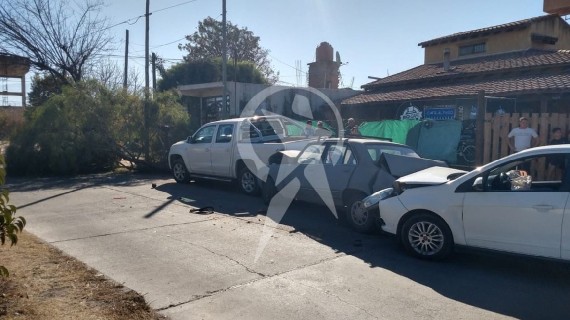 Triple choque de autos y un árbol caído en el barrio Santa Ana