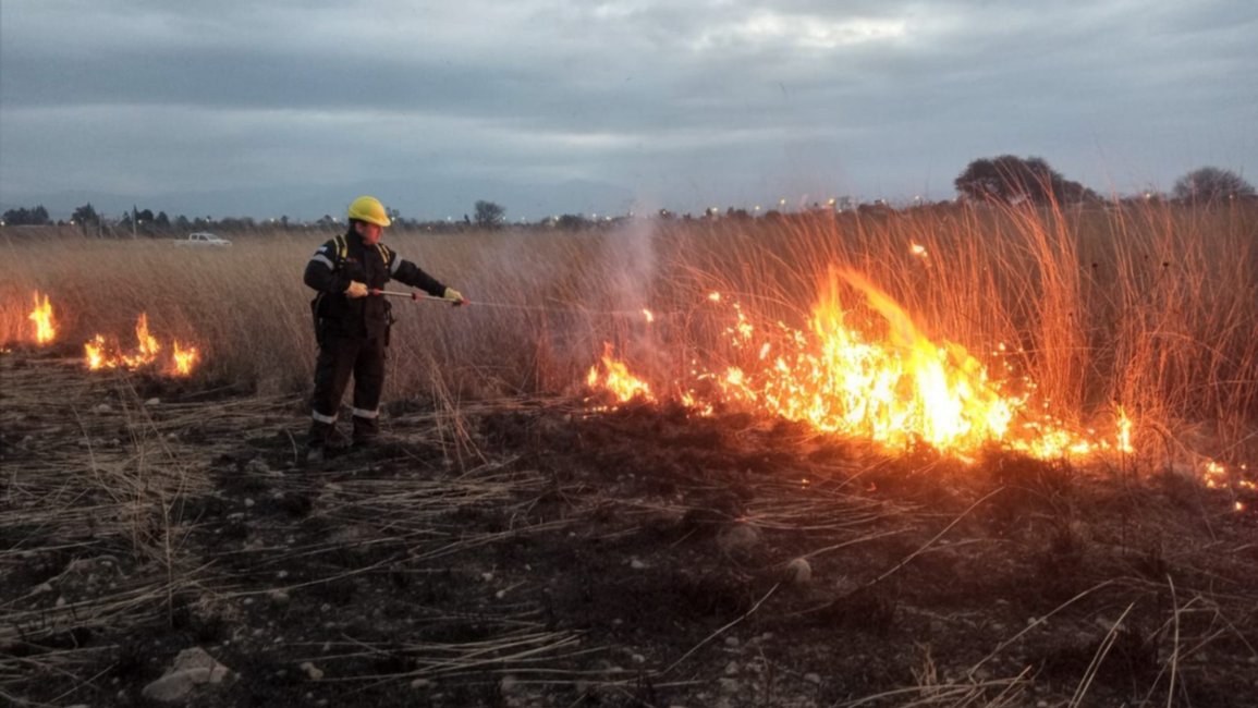 Ya se incendiaron 40 hectáreas este año
