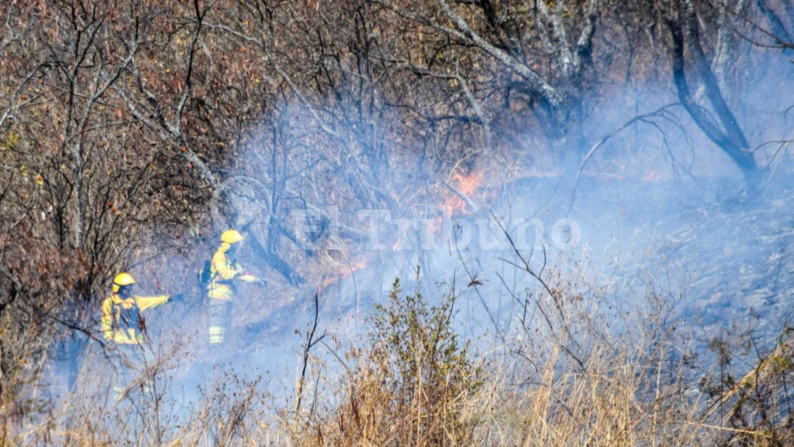 Riesgo de incendios forestales: el Gobierno insta a extremar las medidas de precaución
