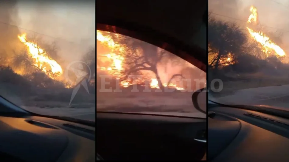 VIDEO. Impactante incendio en Animaná: los Bomberos Voluntarios lograron sofocar el fuego y liberaron la ruta 40