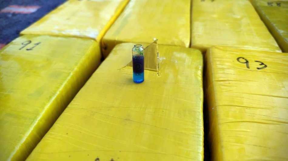 Cayó en Chaco un camión narco que salió de Salta: llevaba 172 kilos de cocaína ocultos