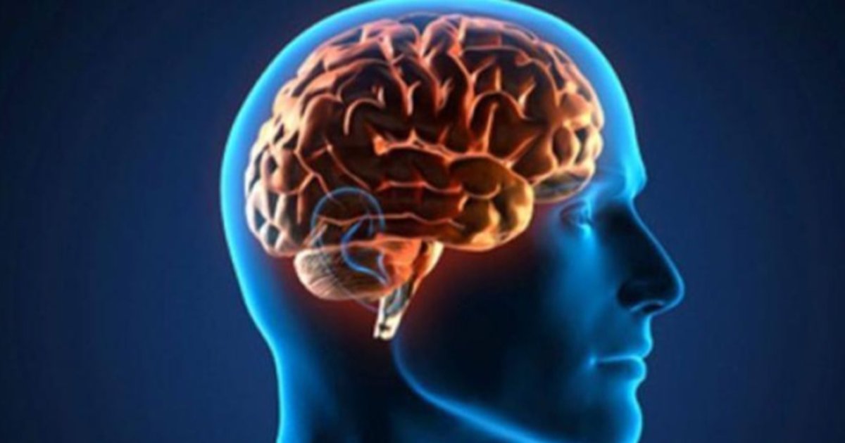 Prevención y hábitos sanos, puntos básicos para la salud cerebral