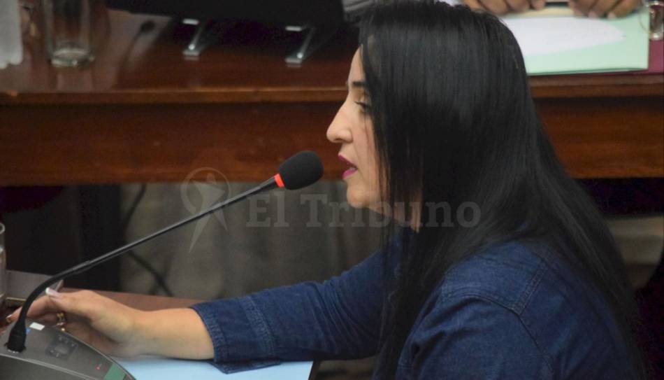 VIDEO. Rechazaron la renuncia del concejal Pablo López y abrirán una comisión de juicio político- VIDEO. Rechazaron la renuncia del concejal Pablo López y abrirán una comisión de juicio político