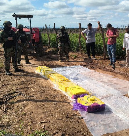 Cuando el narcotráfico se vuelve sistema: rutas, fechas y logística