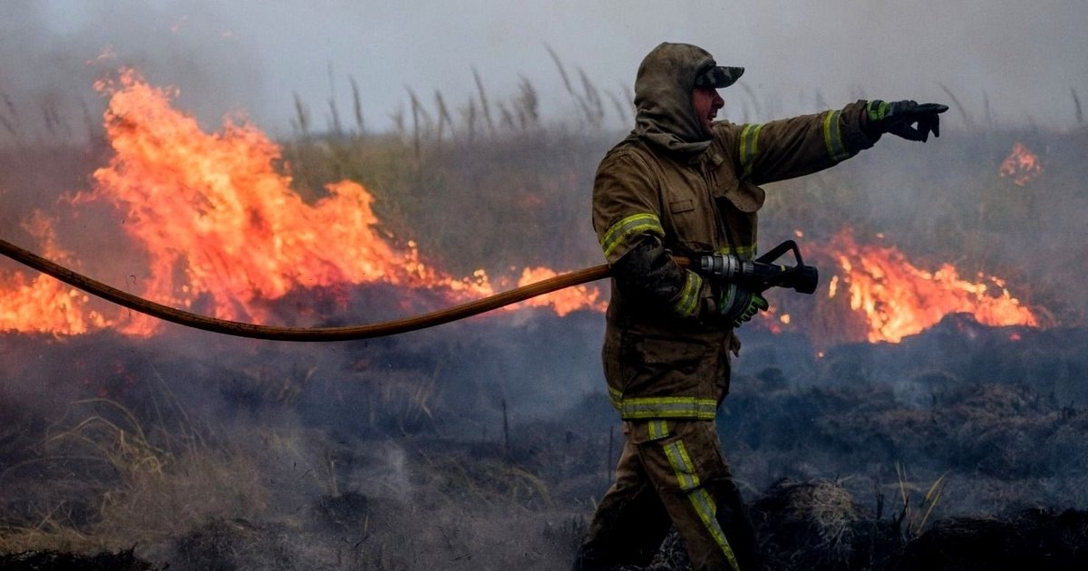 Alerta por peligro extremo de incendios forestales: las recomendaciones para evitar nuevos focos