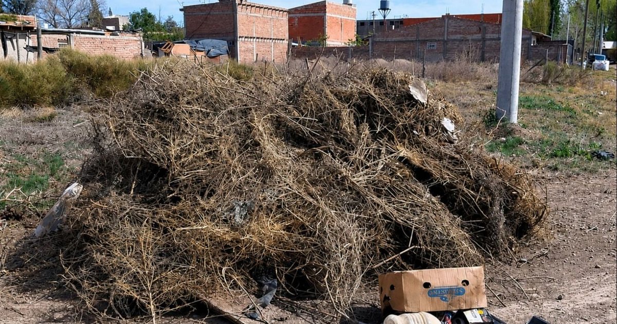 Terrenos baldíos, un riesgo que exige respuestas urgentes de municipios y concejales del interior