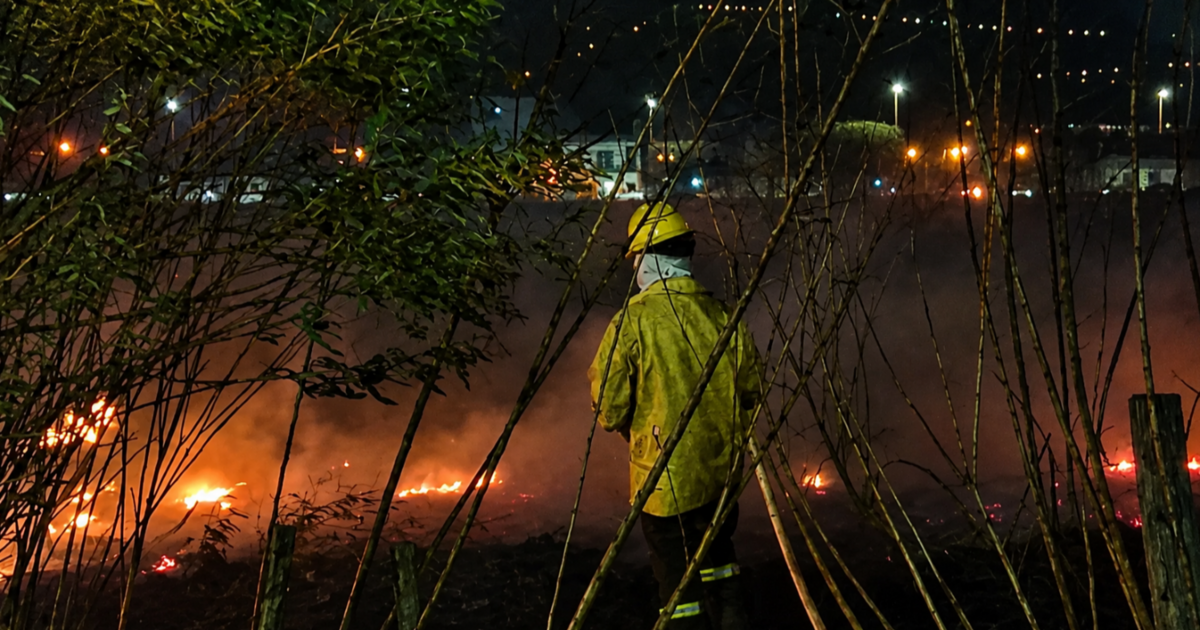 Viento Zonda en Salta: continúa el alerta por los incendios de pastizales, voladuras de techos y árboles caídos