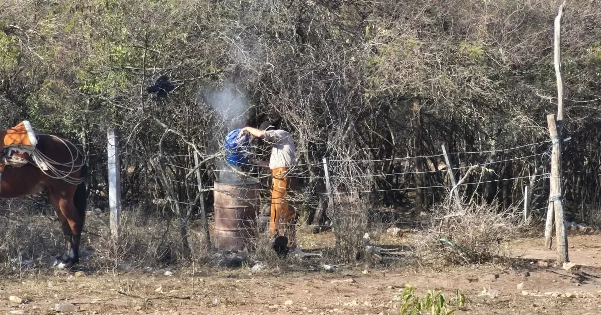 Alerta por viento zonda: multan a un hombre por intentar quemar basura en pastizales
