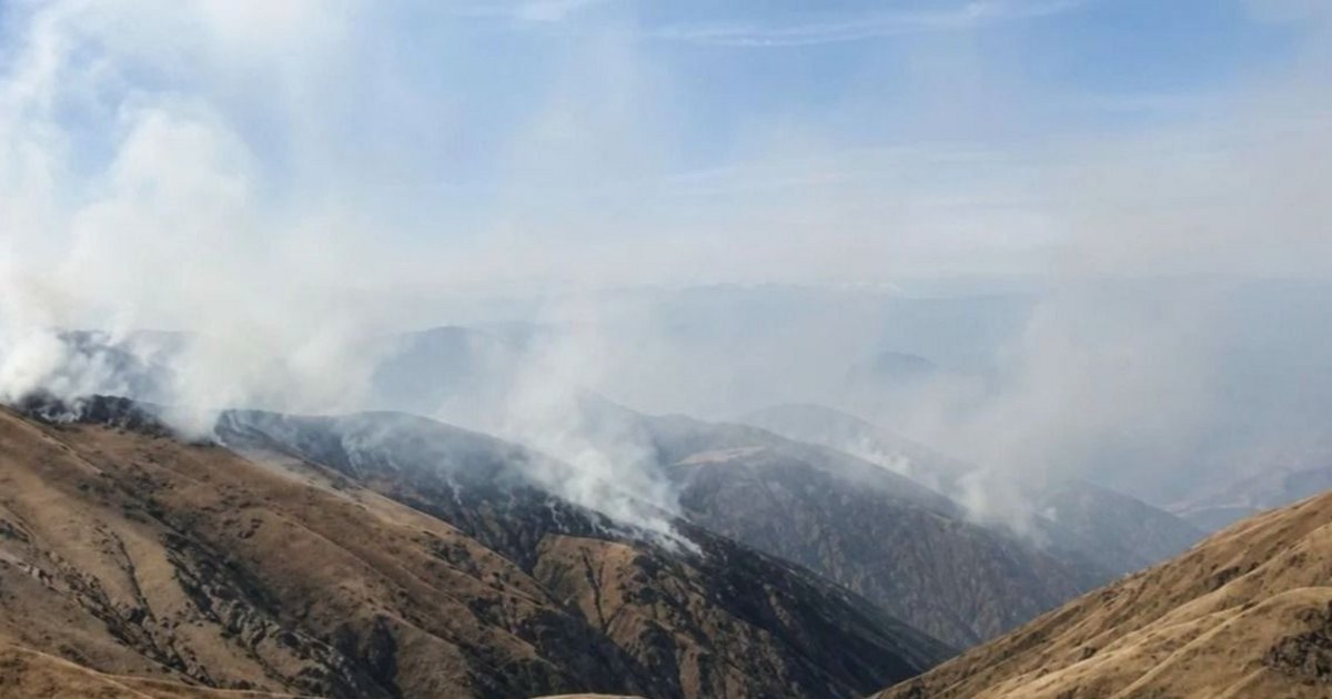 El hombre fallecido en los incendios de Nazareno intentó desesperado salvar su ganado