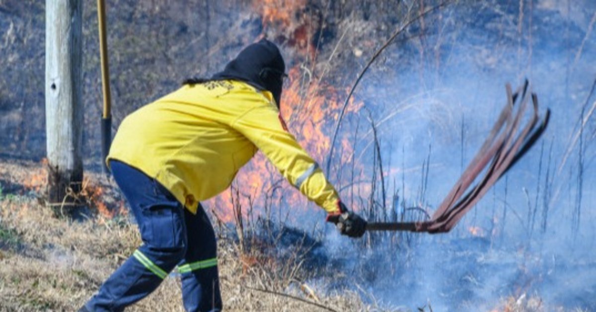 En seis días los incendios arrasaron 8.000 hectáreas
