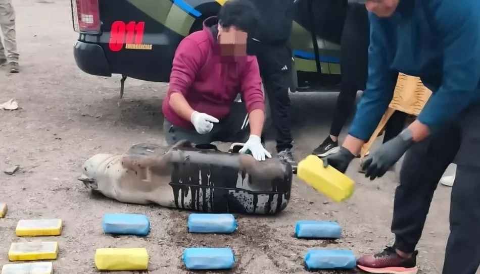 Golpe al narcotráfico en Salta: secuestraron más de 190 kilos de cocaína y detuvieron a siete personas- Golpe al narcotráfico en Salta: secuestraron más de 190 kilos de cocaína y detuvieron a siete personas