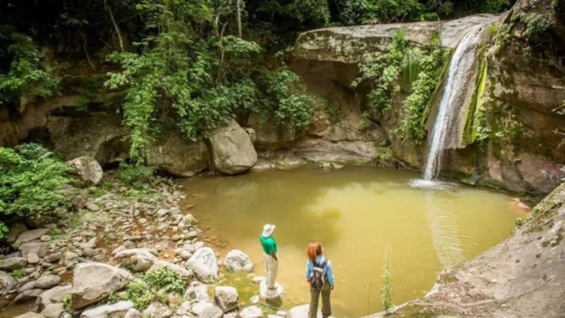Selva de altura en Tartagal Yariguarenda, un paraíso entre el cielo y la tierra