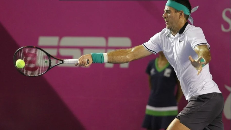 Del Potro cayó con Fognini en la final de Los Cabos